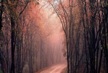 皇冠体育：在儿子面前“破风”前行！杭州选手李樟煜与队友共同夺金！杭州网.