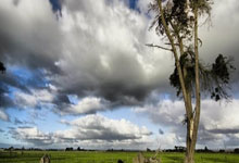 被林良铭踢到头部，沙媒：卡迪什重伤，已被送往医院接受治疗.